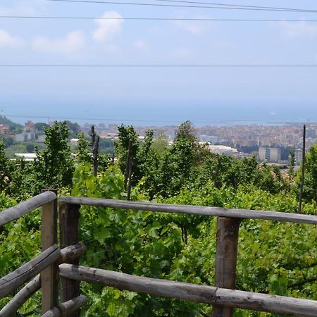 B&B Green Valley Salerno Kültér fotó