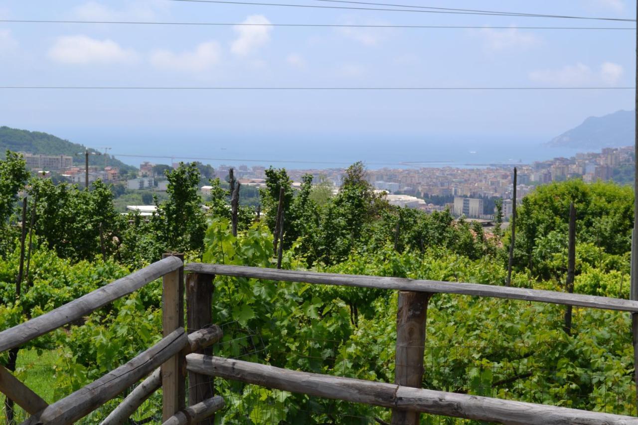 B&B Green Valley Salerno Kültér fotó