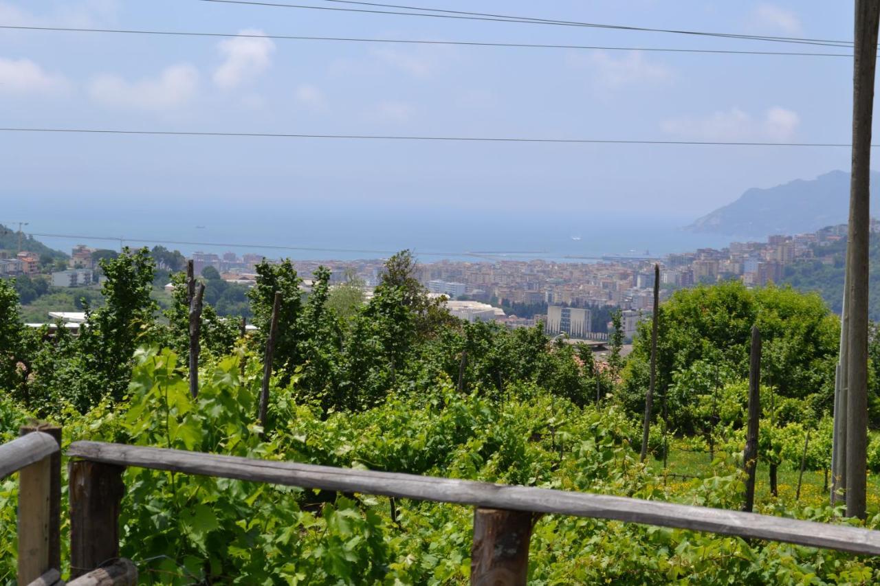B&B Green Valley Salerno Kültér fotó